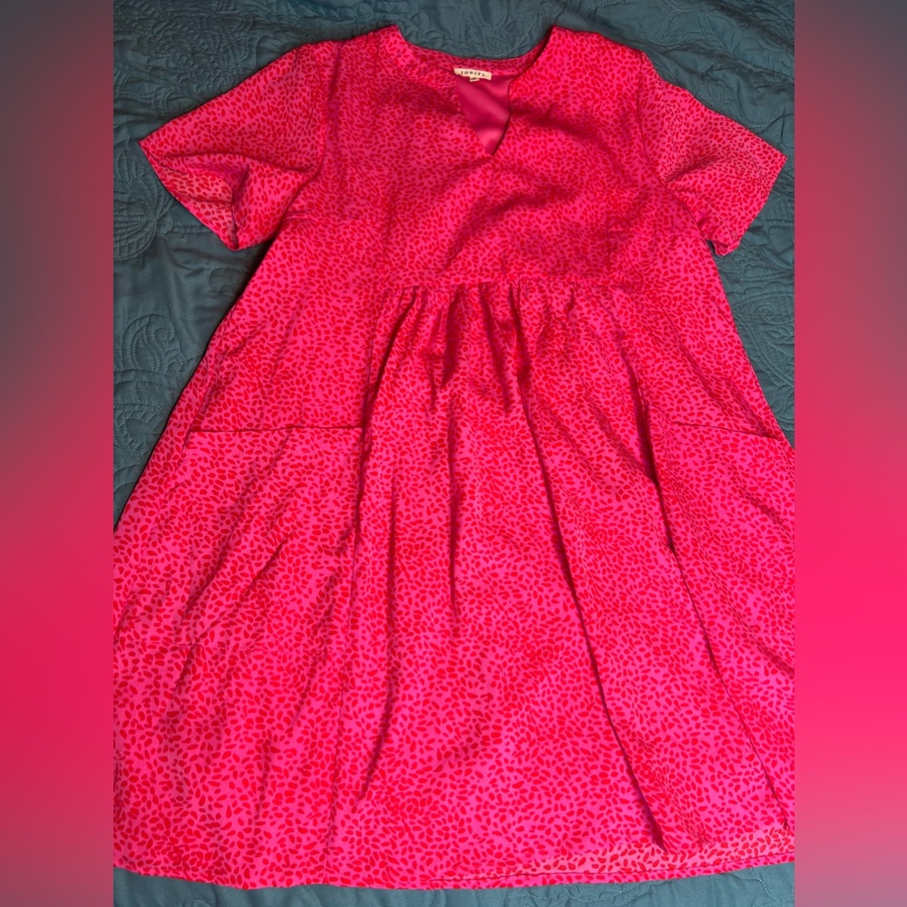Pink & Red Cheetah Print Dress